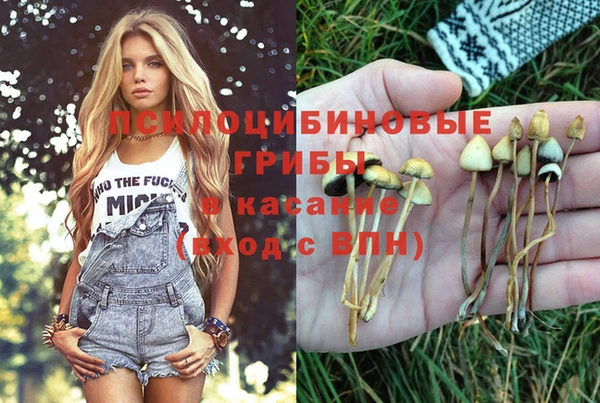 молекула духа Белокуриха