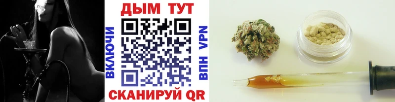 Бошки марихуана план Купить Люберцы